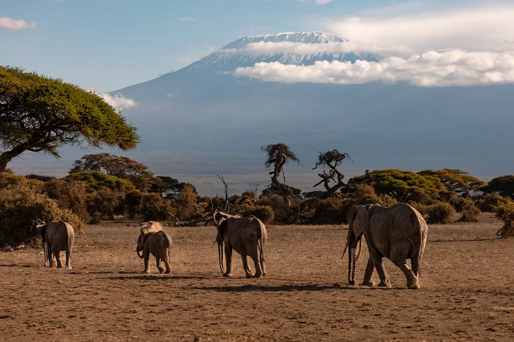 Tanzania Serengeti savannah
