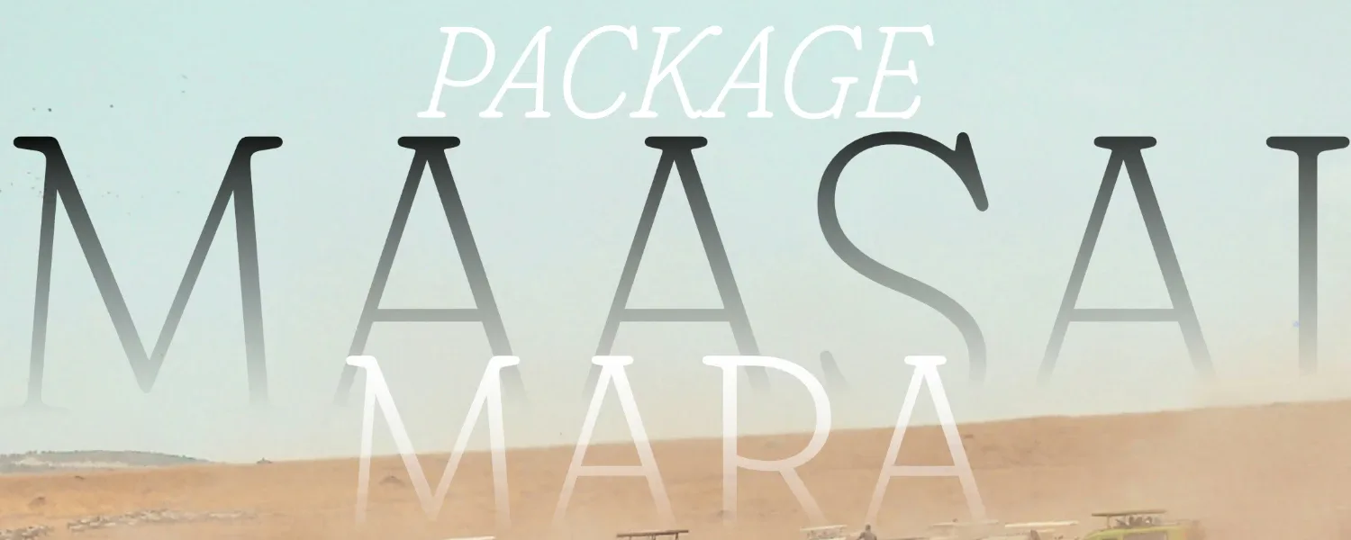 Masai Mara Package: 2 nights in the heart of the savannah