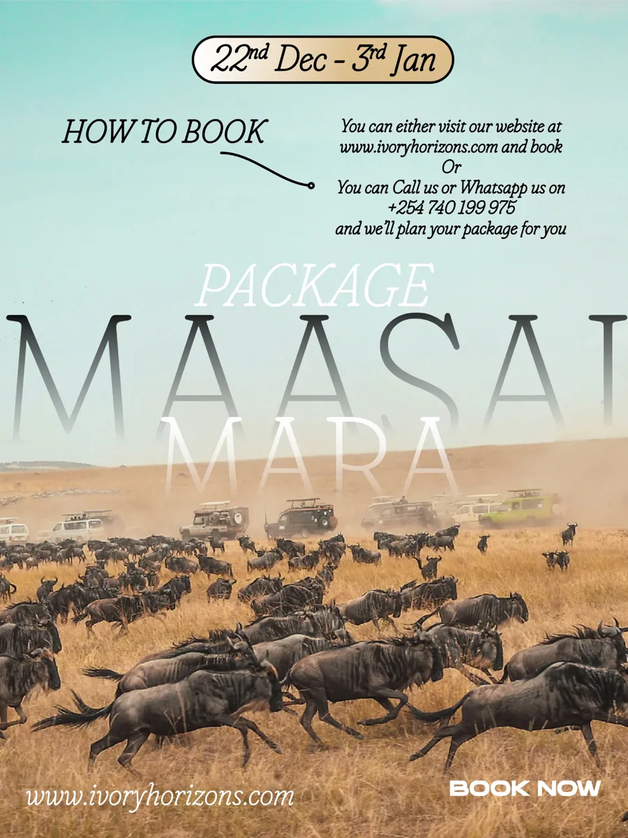 How to book the Masai Mara Package: book on ivoryhorizons.com, or call or WhatsApp +254 740 199 975