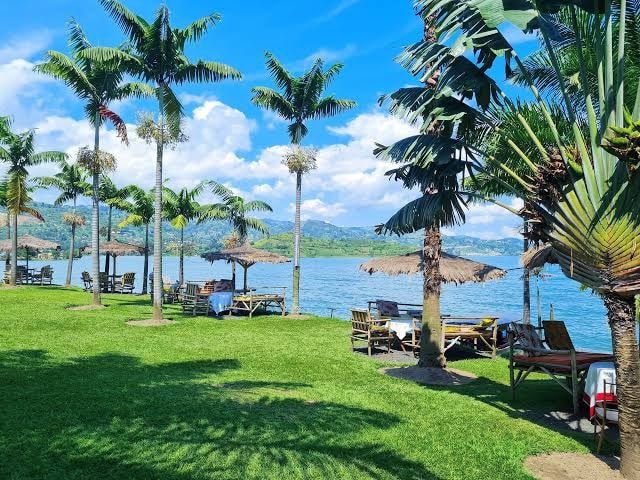 acdf3a958ac6a9c8df63e748b410b687