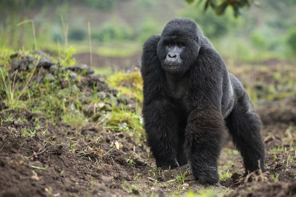 f924db817485d5e04763a3ad3d31805b